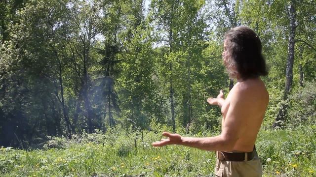 Причина шизонутости всего человечества. Шиза в огне. Олег Богащенко. смотреть онлайн