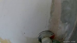 Шлифовка стен от краски  Гипсовая стена