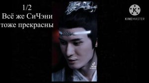 Реакция МДК на ТТ 12/12. Чэнсяни