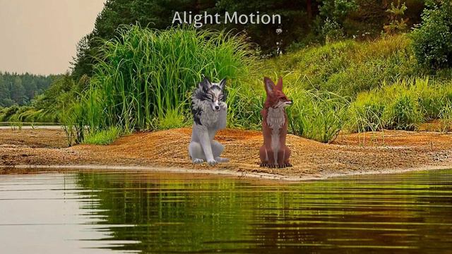 Wcmw?|•PawsPumaa•|