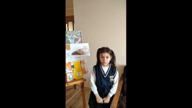 Видео защита поделки Мои домашние питомцы Годжен Диляры смотреть онлайн