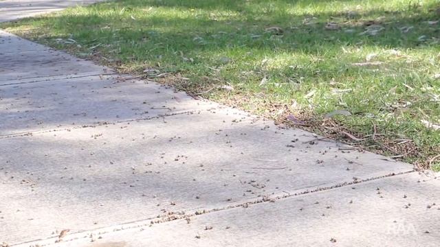 Shoprider ‘889SL’ Mobility Scooter смотреть онлайн