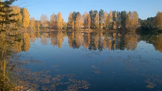 Красота, красота! Кравцов Евгений Природа и авторская песня смотреть онлайн