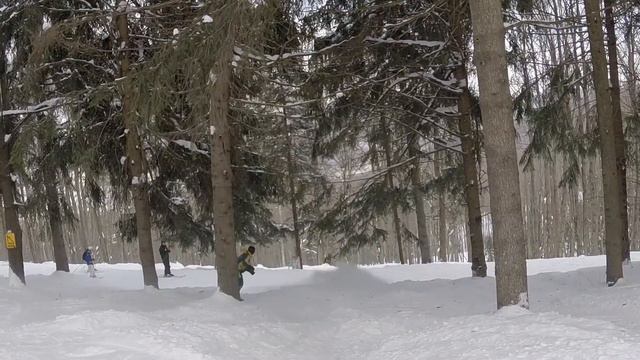 Greek Peak Mountain Resort - skiing in the trees смотреть онлайн