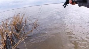 Piscifun Carbon XCS тестируем дальность заброса