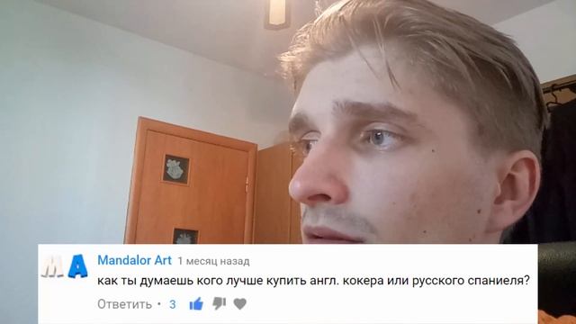 Вопросы и ответы о породе кокер спаниель смотреть онлайн