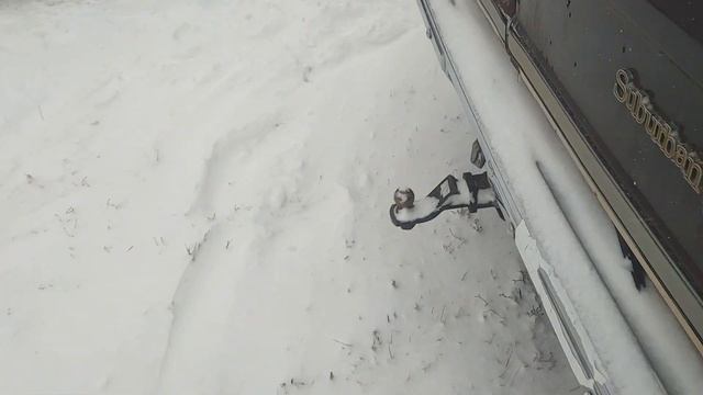 Cold Start Will it Run. 1985 Chevrolet Suburban Crusty Plow Rig Part 2 смотреть онлайн