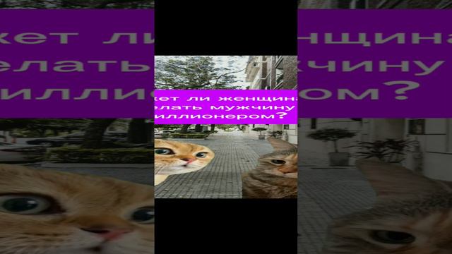 "Кошачьи разговоры о главном)) #шортс #коты #приколы #мемы #говорящиекоты #двакота #тренд #рек смотреть онлайн