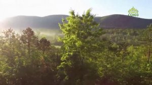 Стихи над миром.  Гавриил Романович Державин "Бог"