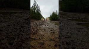 Хайлюкс рулит!!!