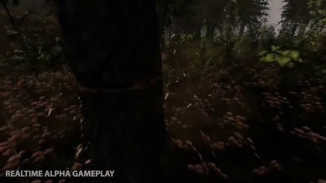 Cinco Jogos Bons Para PC´S Fracos смотреть онлайн