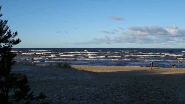 2018 /Первая прогулка на море / Море волнуется смотреть онлайн