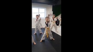 Сдача на желто-зеленый пояс (7 ГЫП) Taekwondo WTF