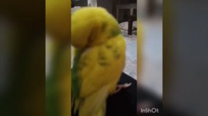 Allahümme ya hannan ya mennan Ya Deyyan Ya Burhan ya sultan arapca Dua