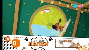 Карусель плашка У меня лапки в хорошем качестве