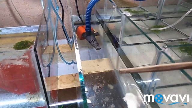 Нанакары. смотреть онлайн