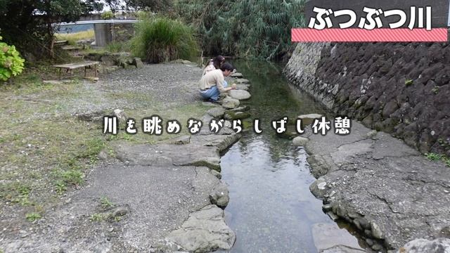 【犬と車中泊旅】和歌山の穴場を夫婦2人&愛犬で観光したら楽しすぎた。【ハイエース100系】
