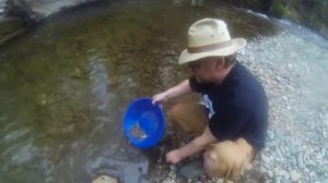 Как намыть золото при помощи лотка?