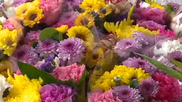 El Noticiero - Se alistan florerías смотреть онлайн