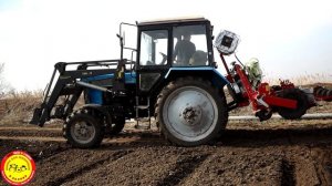 Механизированная посадка свеклы.