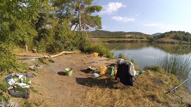 В Крыму клюет БЕЛЫЙ АМУР и КАРП смотреть онлайн