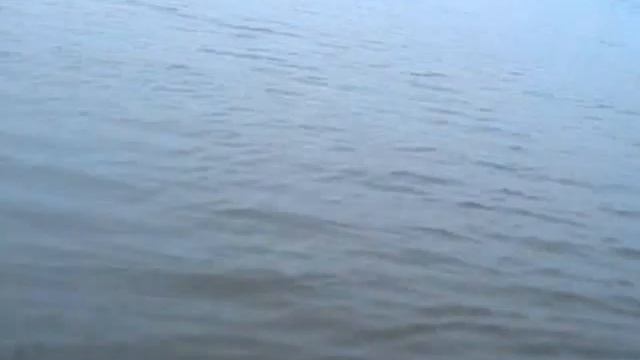 MOV00052 смотреть онлайн