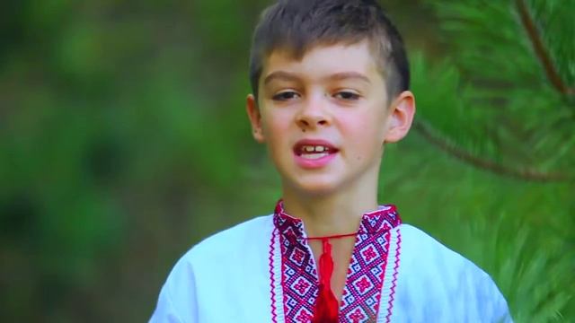 Тимур Оленич в телевизионном проекте Будь звездой! (5 сезон) Червона рута смотреть онлайн