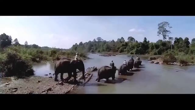 Вьетнам путешествия 2022-2023 Vietnam Travel Clips
