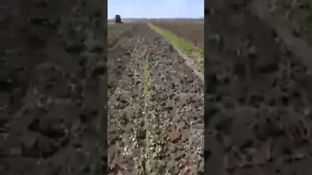 1 мая 2020 г. смотреть онлайн