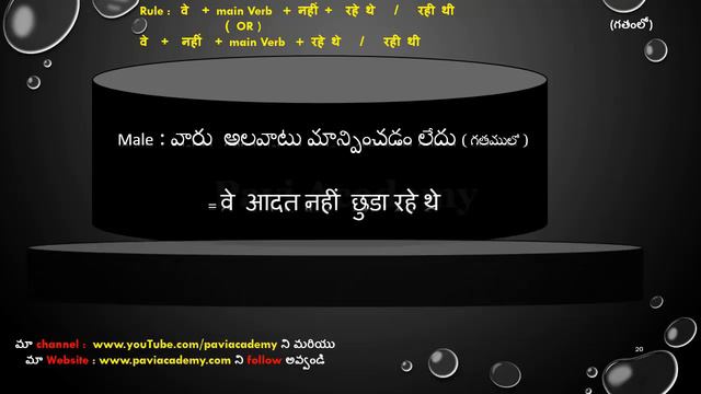 Past Continuous Tense Negative Sentences Hindi through Telugu LESSON 144 by Paviacademy смотреть онлайн