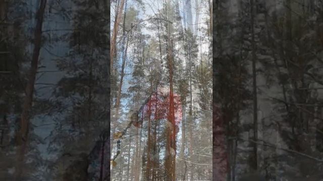 Нашел телефон в лесу с помощью металлоискателя смотреть онлайн
