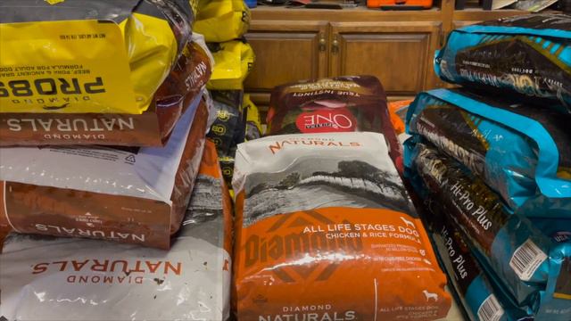 WHAT I FEED MY PREGNANT AMERICAN BULLY&DOG FOOD MATTERS PT.2 (AMERICAN BULLY/APBT) смотреть онлайн
