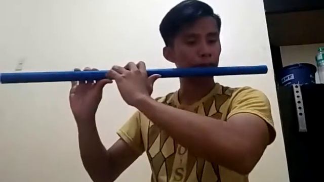 Fly Me To Polaris - PVC Flute Practice смотреть онлайн