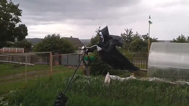 Пугало / Scarecrow смотреть онлайн