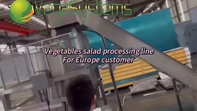 Ванны для мойки салатов и овощей со спиральной подачей воды Vega VN смотреть онлайн