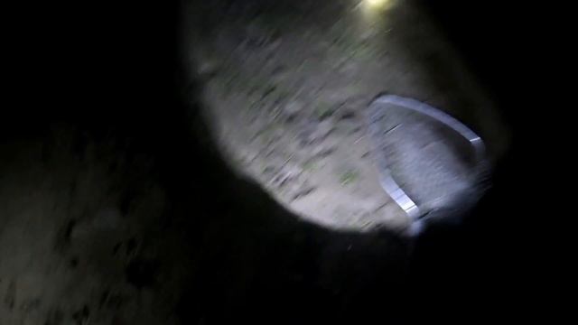 ВОТ ЭТО ТРОФЕЙ.СОМ на ФИДЕР. РЫБАЛКА с НОЧЁВКОЙ.РЕКА КАРАТАЛ.2021 год смотреть онлайн