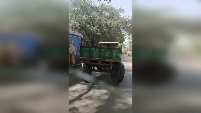 255. HFM COUB BEST CUBE Coub Приколы 2024 entertainment show, video collection from all over the wor смотреть онлайн