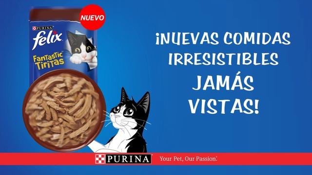 Felix Fantastic® - Nuevos Sabores, Texturas Increibles.