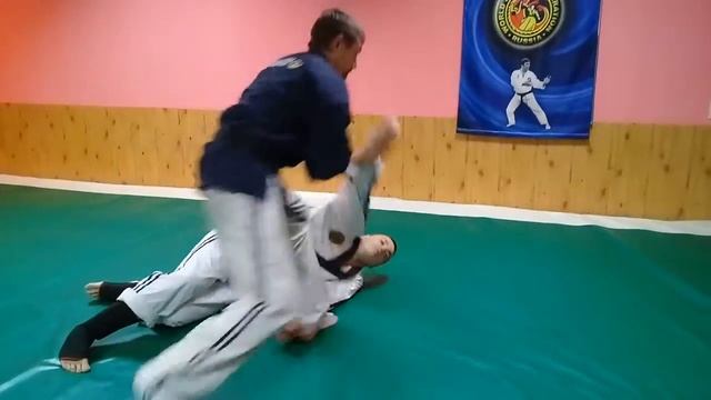 Всемирная Федерация Джиу-Джитсу и Кобудо (WJJF/WJJKO) смотреть онлайн