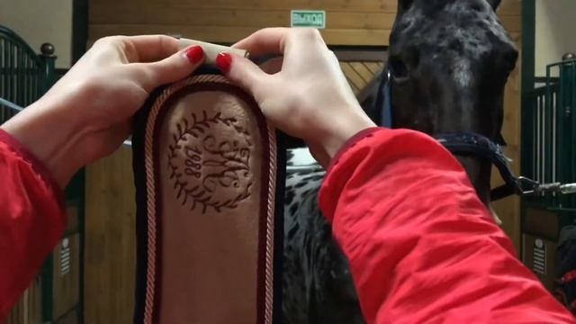 Учимся сматывать бинт смотреть онлайн