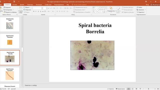А.Н. Савинова. The subject and tasks of Microbiology. Part 2. смотреть онлайн