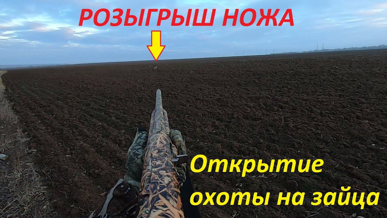 ОХОТА НА ЗАЙЦА С МР-155!!! РОЗЫГРЫШ НОЖА мастерская Самойлова В.М. смотреть онлайн