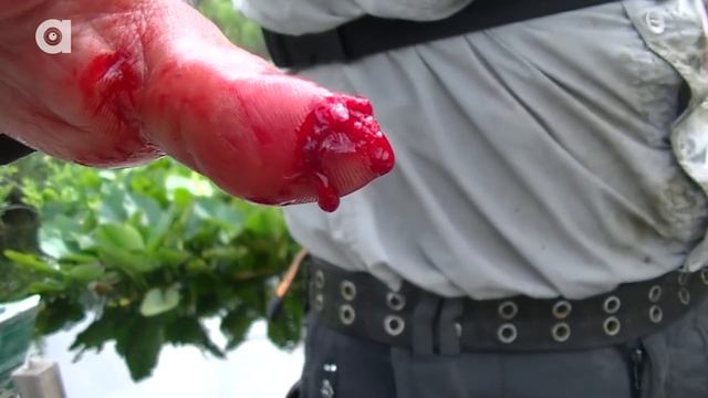 REALLY BAD Snapping Turtle Bite смотреть онлайн