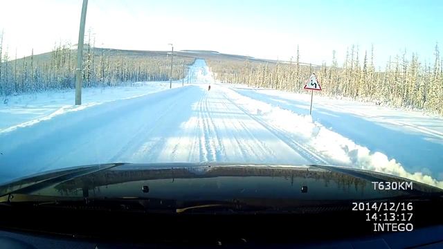 Погоня за волком