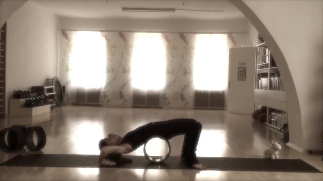 Как использовать Fit Wheel смотреть онлайн