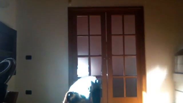 Классный танец смотреть до конца смотреть онлайн