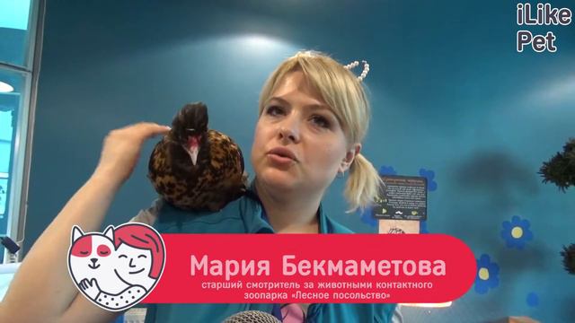 Контактный зоопарк 