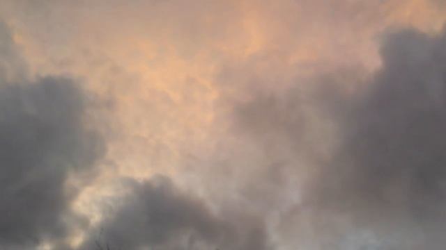 Закат в саду. Хризантемы.Цикламены. Покупки из голландского "Фикс прайса". смотреть онлайн