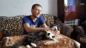 Как усыпить кота. Как бы гипноз.