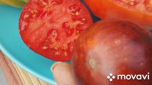 #мои 6 соток# Готовлюсь к рассылки семян. Новые сорта томатов. смотреть онлайн